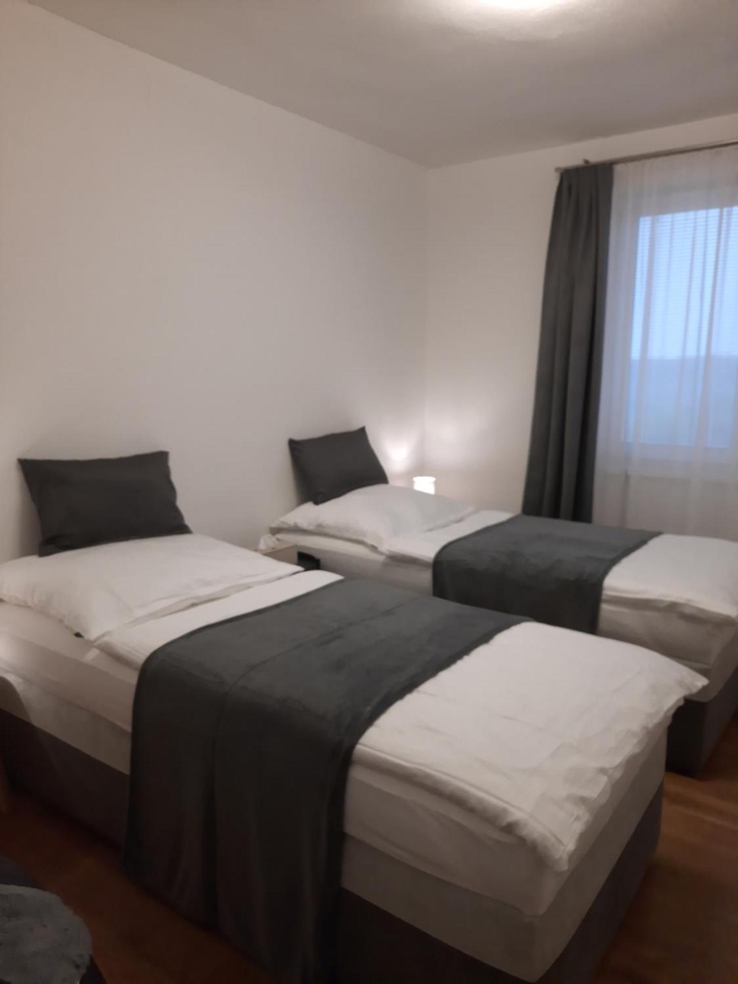Apartman Vital Na Palave - Ubytovani & Zivotni Restart Pasohlávky Extérieur photo