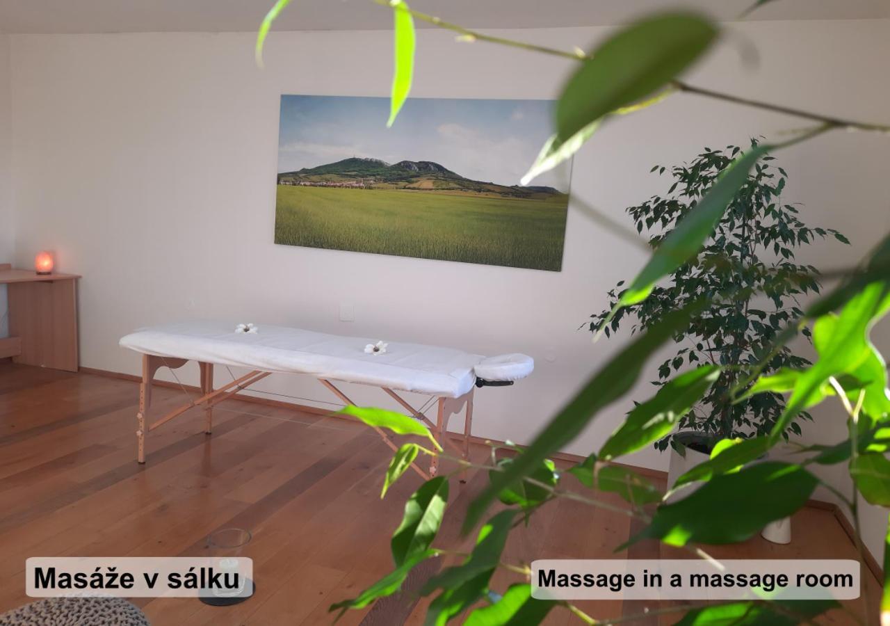 Apartman Vital Na Palave - Ubytovani & Zivotni Restart Pasohlávky Extérieur photo
