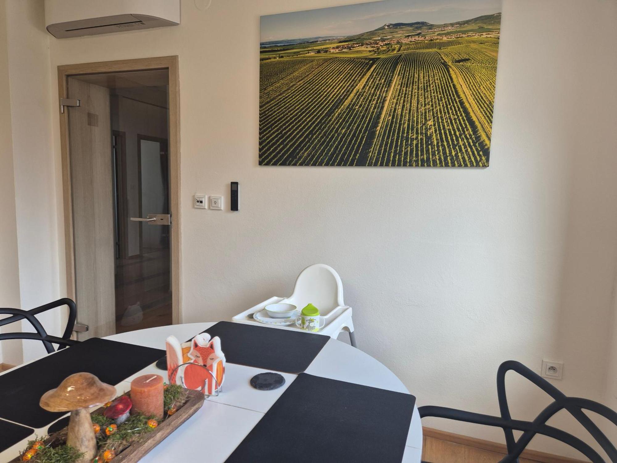 Apartman Vital Na Palave - Ubytovani & Zivotni Restart Pasohlávky Extérieur photo
