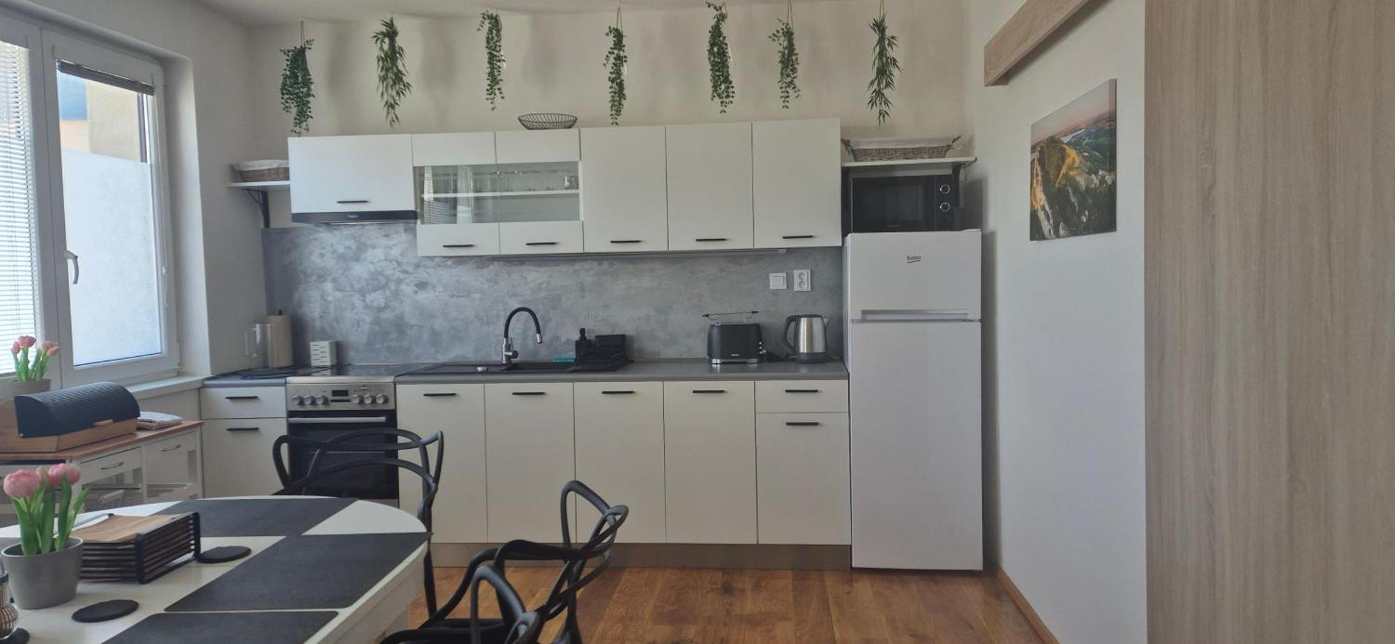 Apartman Vital Na Palave - Ubytovani & Zivotni Restart Pasohlávky Extérieur photo